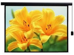 Màn chiếu điện Herin 120” x  120”
